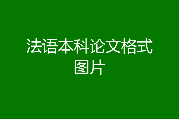 法语本科论文格式图片
