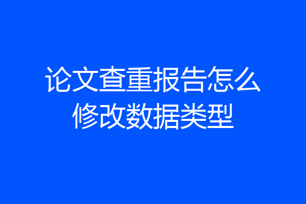 论文查重报告怎么修改数据类型