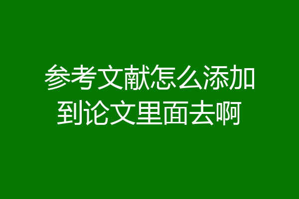 参考文献怎么添加到论文里面去啊