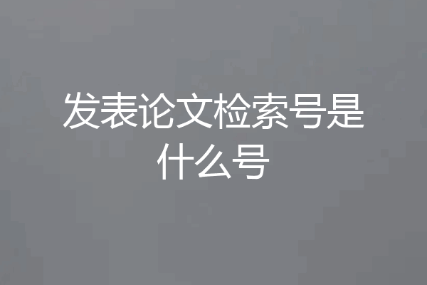 发表论文检索号是什么号