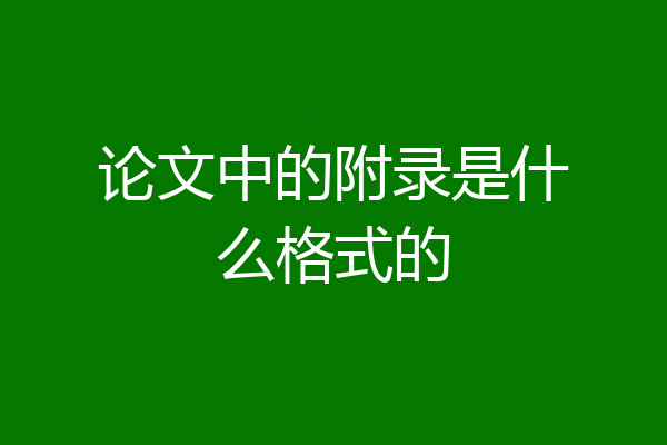 论文中的附录是什么格式的