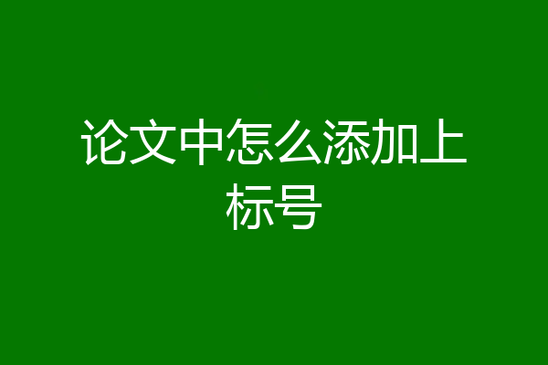 论文中怎么添加上标号