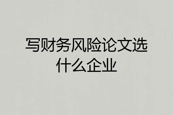 写财务风险论文选什么企业
