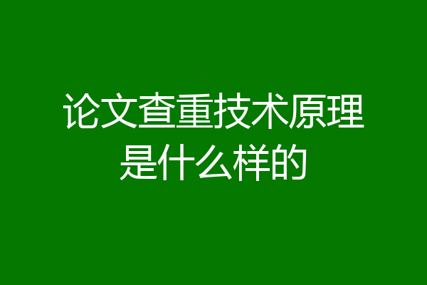 论文查重技术原理是什么样的