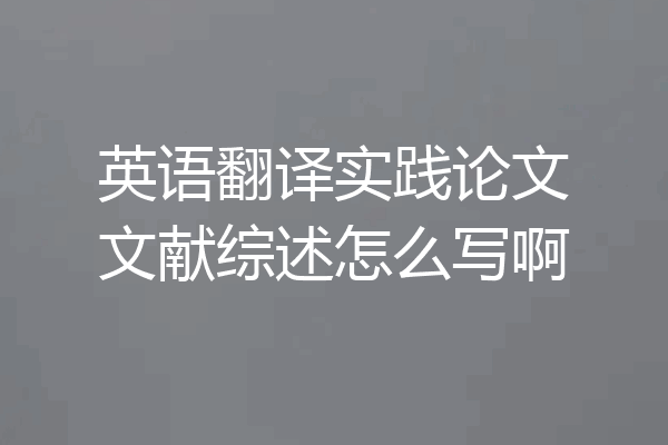 英语翻译实践论文文献综述怎么写啊