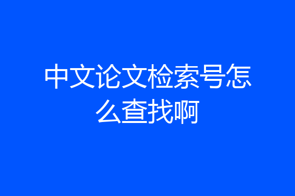 中文论文检索号怎么查找啊