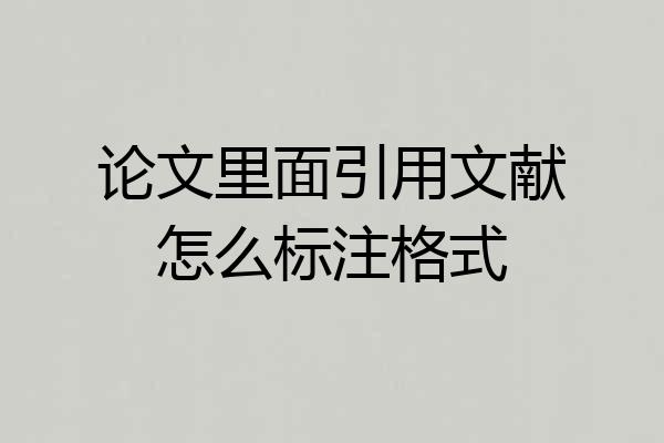 论文里面引用文献怎么标注格式