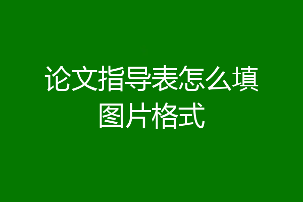 论文指导表怎么填图片格式