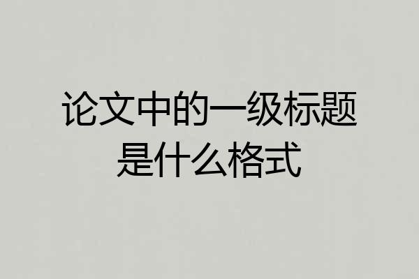 论文中的一级标题是什么格式