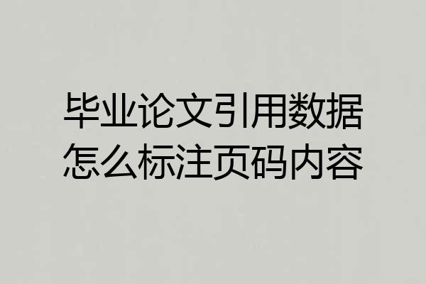 毕业论文引用数据怎么标注页码内容