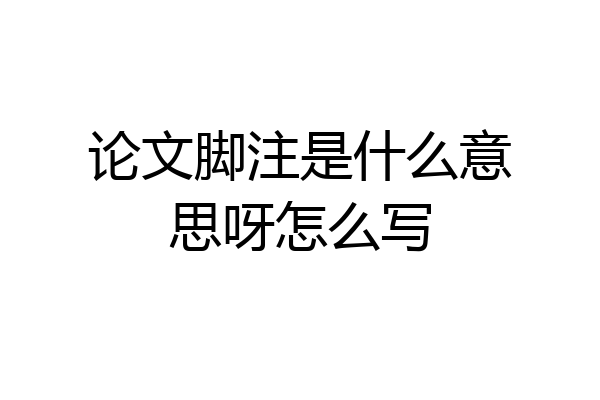 论文脚注是什么意思呀怎么写