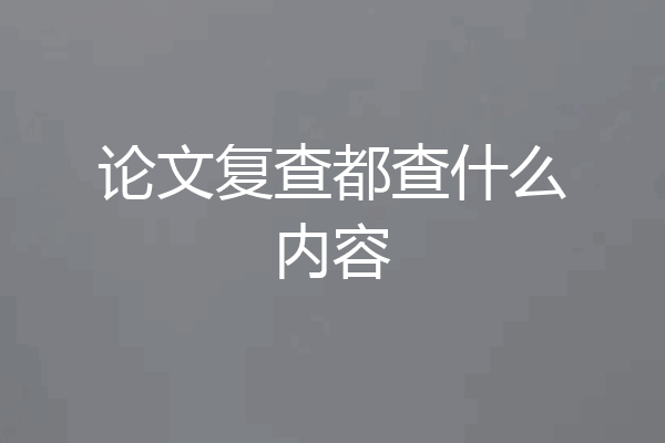 论文复查都查什么内容