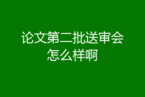 论文第二批送审会怎么样啊