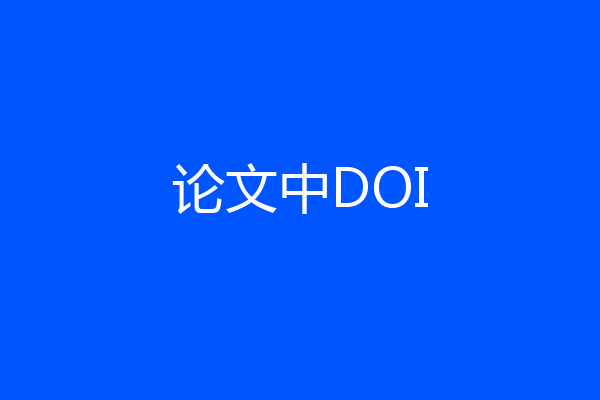论文中DOI