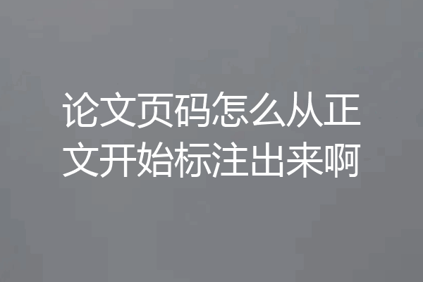 论文页码怎么从正文开始标注出来啊