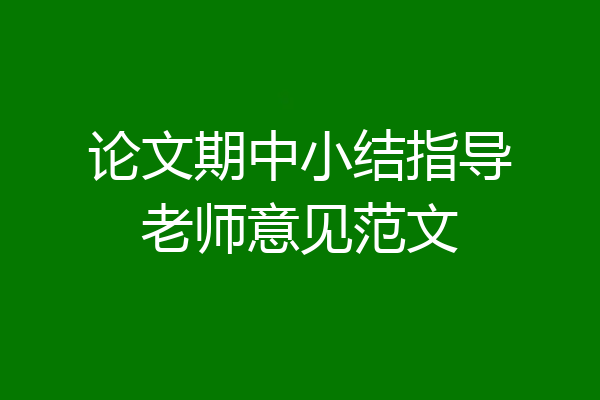 论文期中小结指导老师意见范文