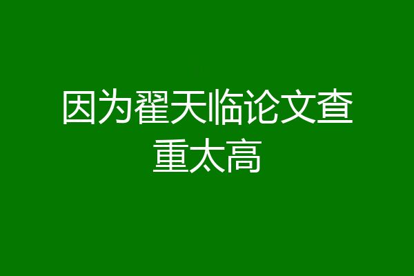 因为翟天临论文查重太高
