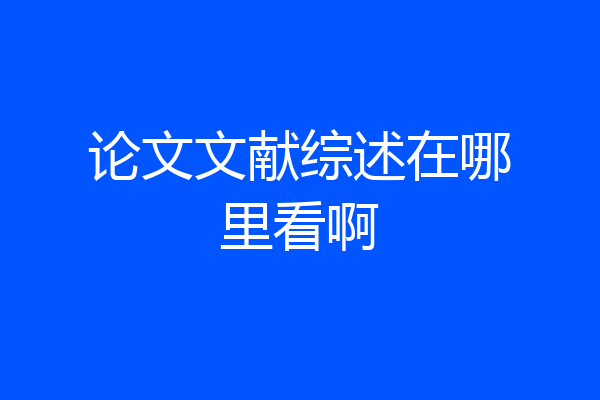 论文文献综述在哪里看啊