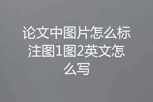 论文中图片怎么标注图1图2英文怎么写