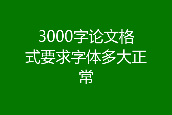 3000字论文格式要求字体多大正常