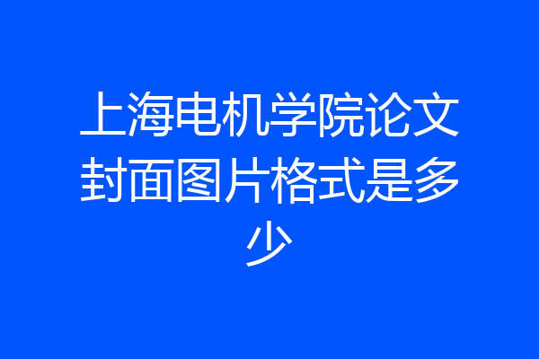 上海电机学院论文封面图片格式是多少