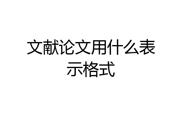 文献论文用什么表示格式