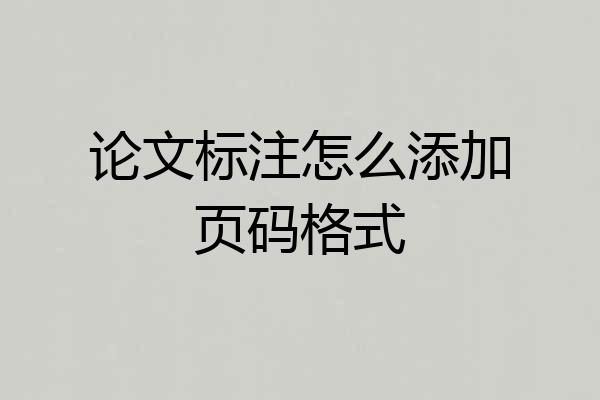 论文标注怎么添加页码格式