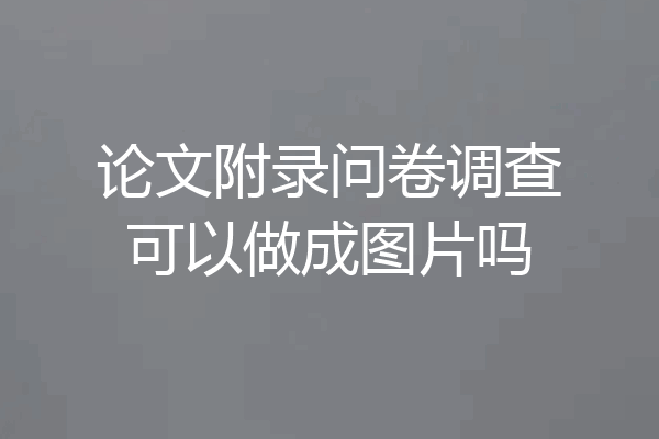 论文附录问卷调查可以做成图片吗