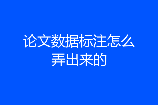 论文数据标注怎么弄出来的