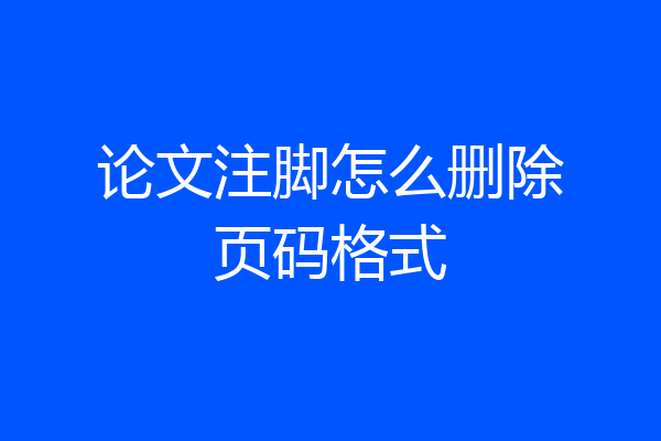 论文注脚怎么删除页码格式