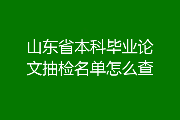 山东省本科毕业论文抽检名单怎么查