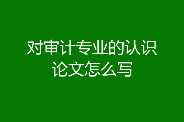 对审计专业的认识论文怎么写