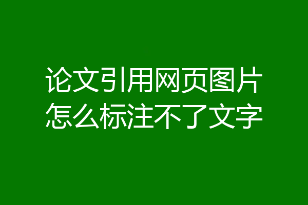 论文引用网页图片怎么标注不了文字