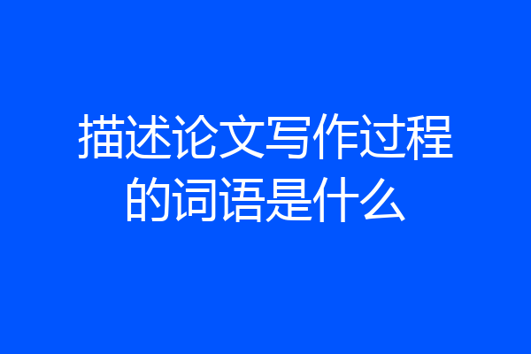 描述论文写作过程的词语是什么