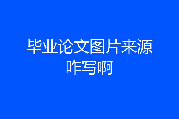 毕业论文图片来源咋写啊