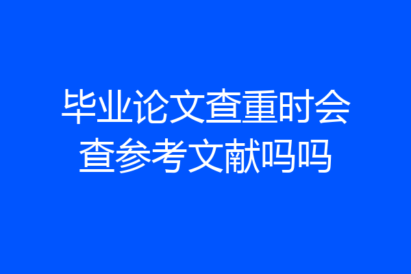 毕业论文查重时会查参考文献吗吗