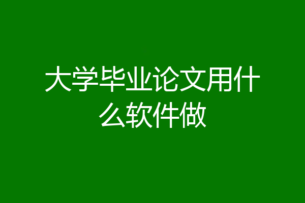 大学毕业论文用什么软件做