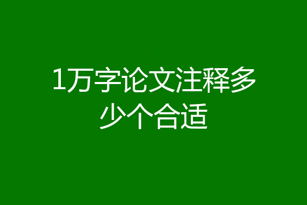 1万字论文注释多少个合适
