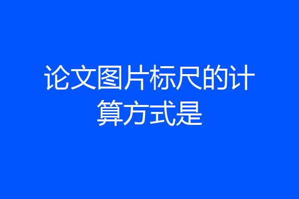 论文图片标尺的计算方式是