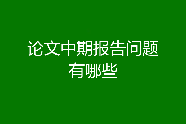 论文中期报告问题有哪些