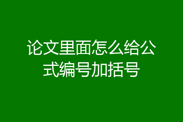 论文里面怎么给公式编号加括号