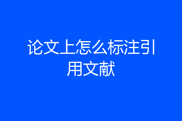 论文上怎么标注引用文献
