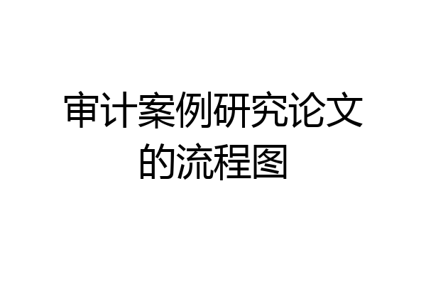 审计案例研究论文的流程图