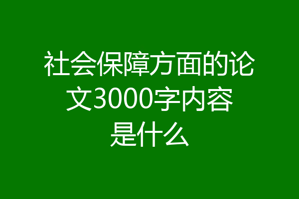 社会保障方面的论文3000字内容是什么