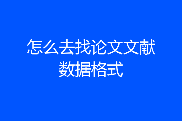 怎么去找论文文献数据格式