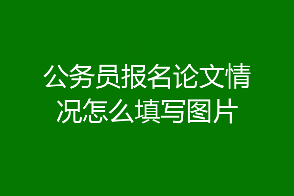 公务员报名论文情况怎么填写图片