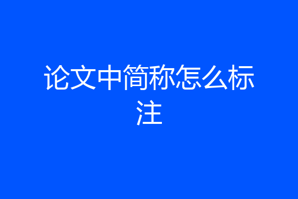 论文中简称怎么标注