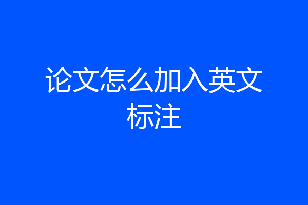 论文怎么加入英文标注