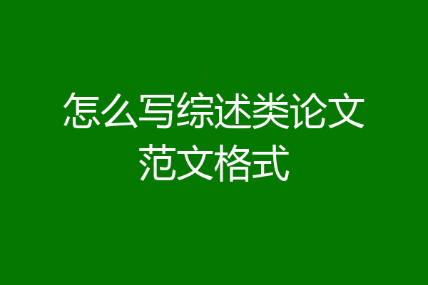 怎么写综述类论文范文格式