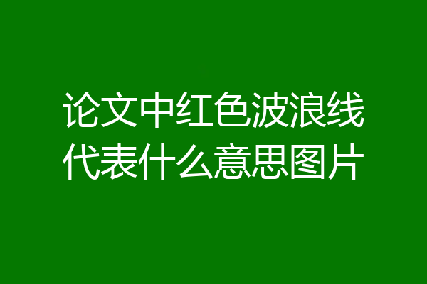 论文中红色波浪线代表什么意思图片